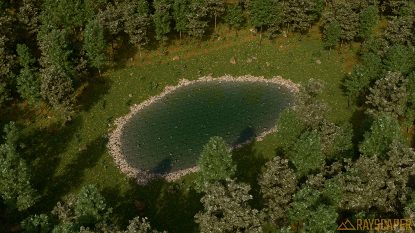 The clearing from above: the pond with its ring of pebbles, the meadow and the forest around it