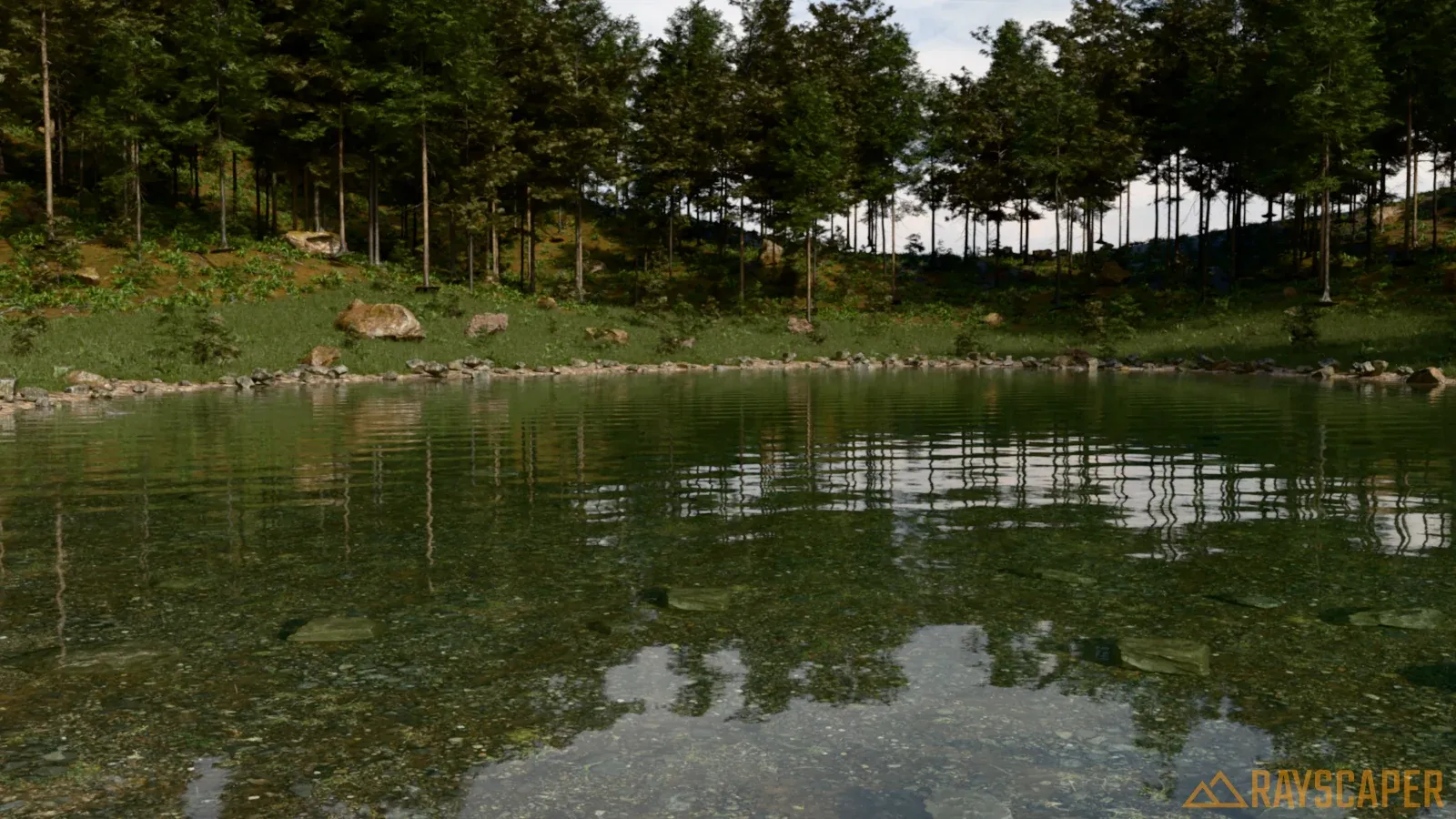 Low over the pond: the stones on the bed show through the clear water, the forest reflects in it